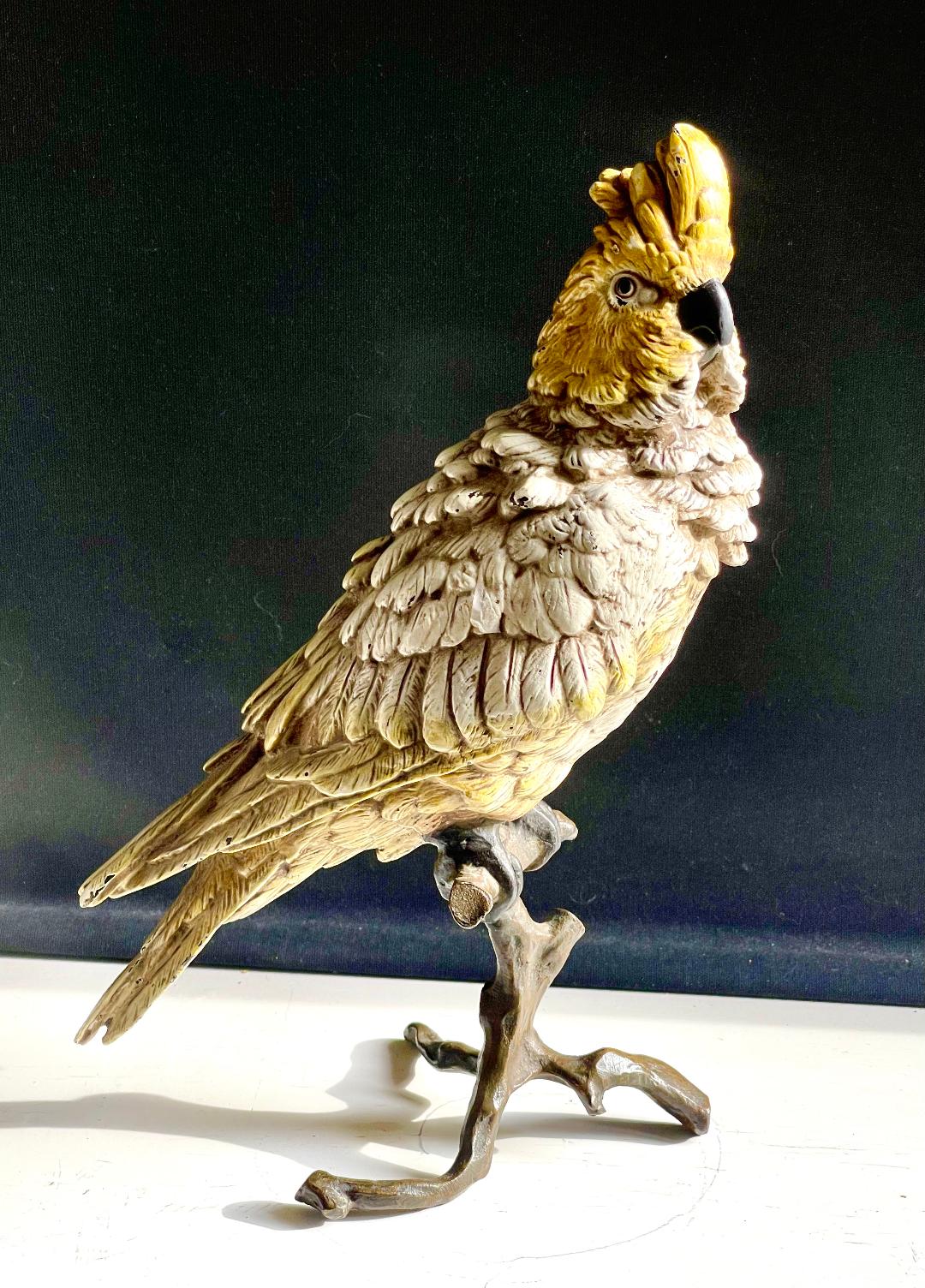 Cold Painted Bronze Bergman Fogure of a Cockatoo