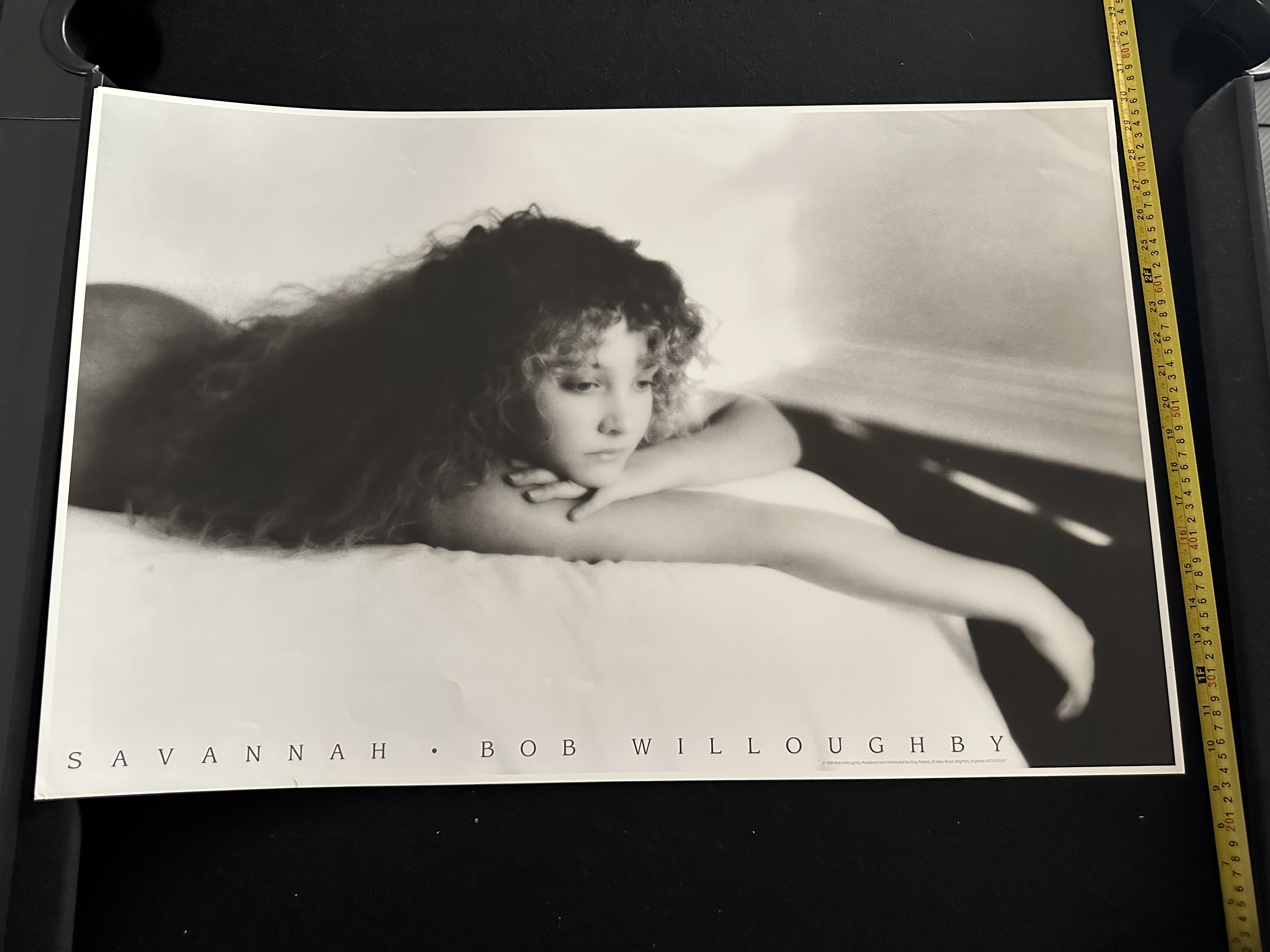 Savannah - Bob Willoughby 1989