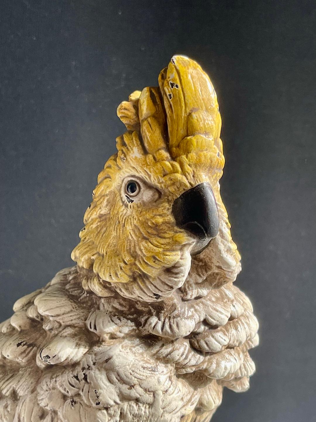 Cold Painted Bronze Bergman Fogure of a Cockatoo