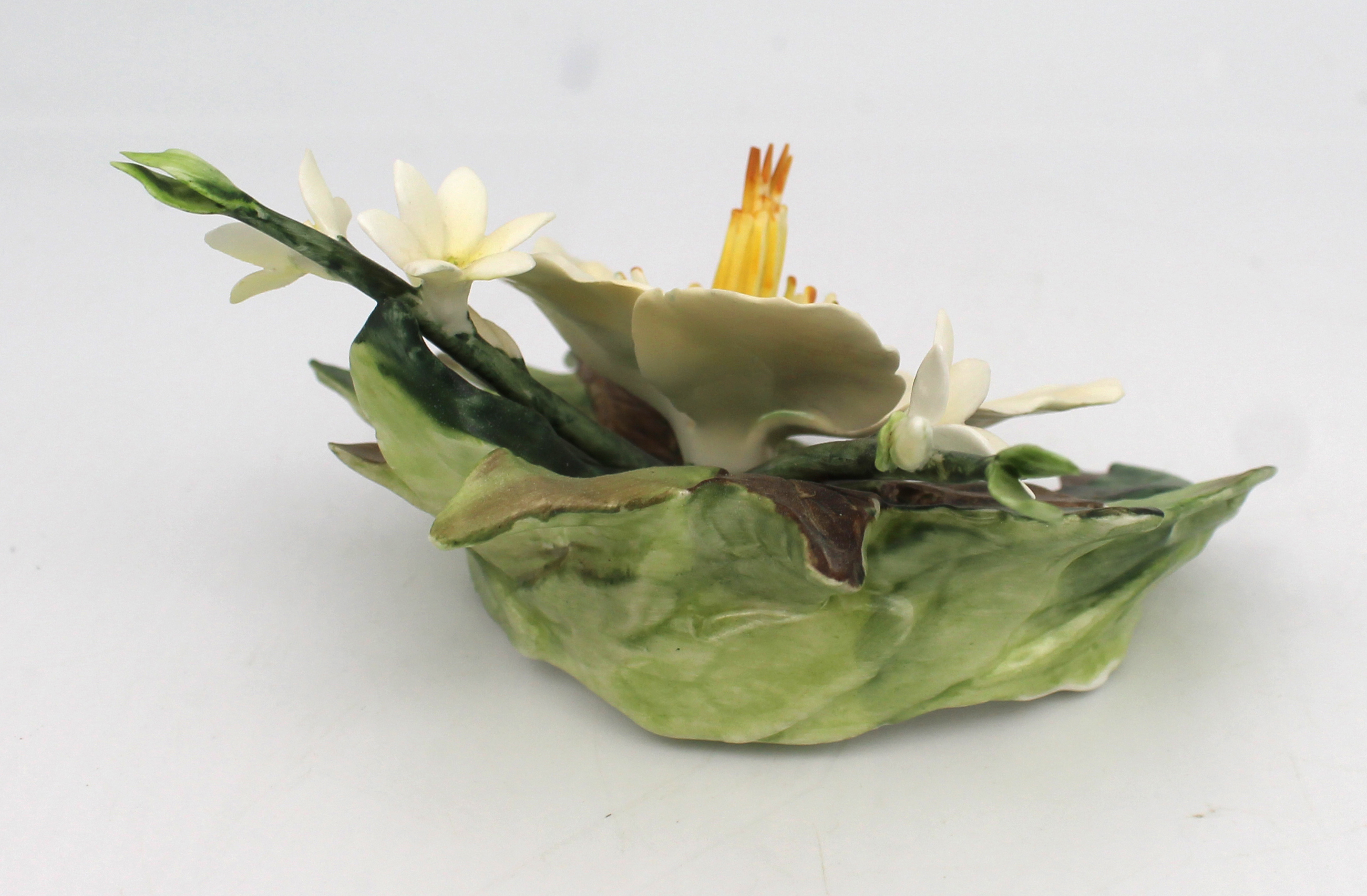 Royal Worcester Flower Hibiscus & Edelweiss