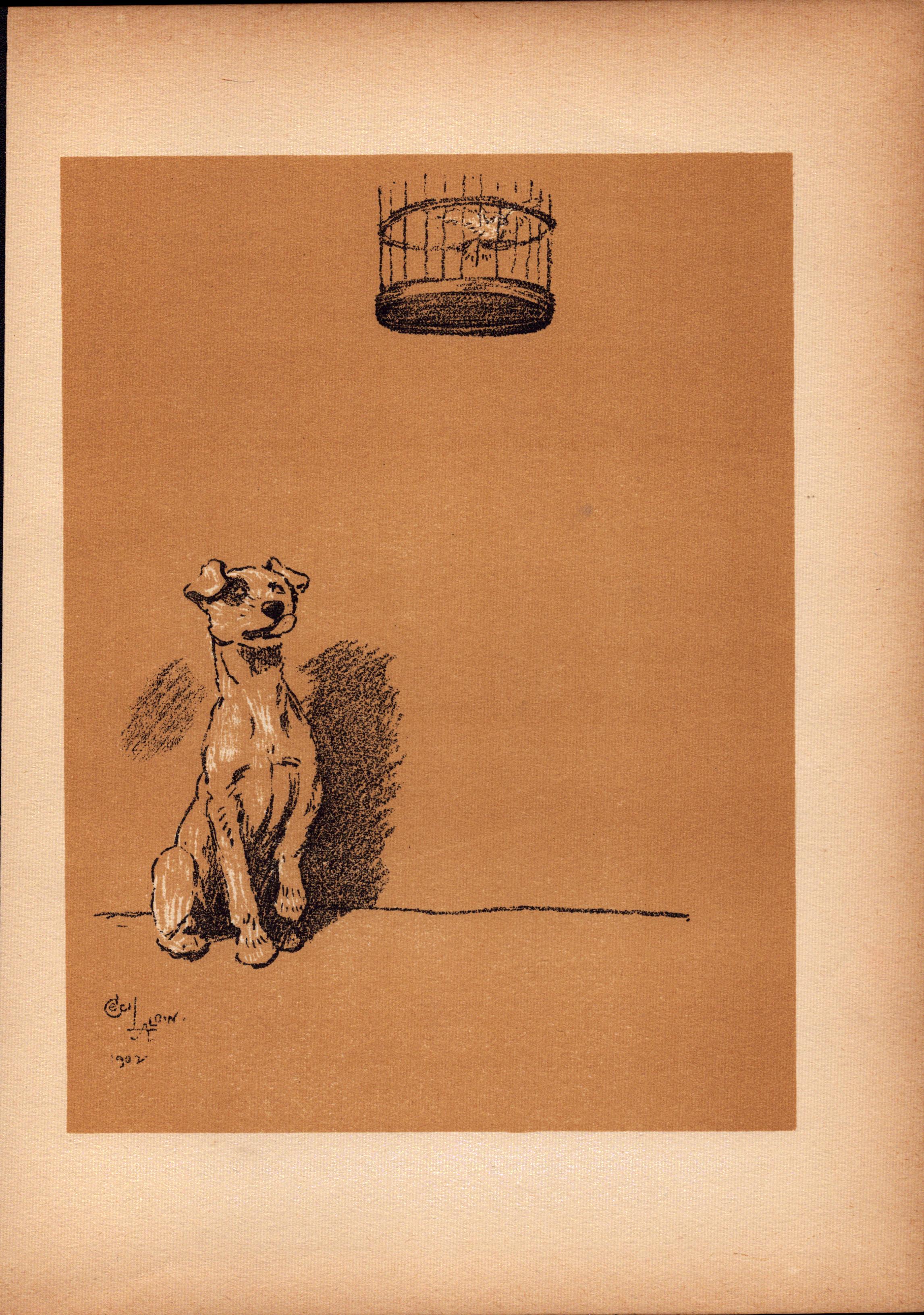 Cecil Aldin Antique Lovable Scamp Of a Terrier illustration A Dog Day -10.