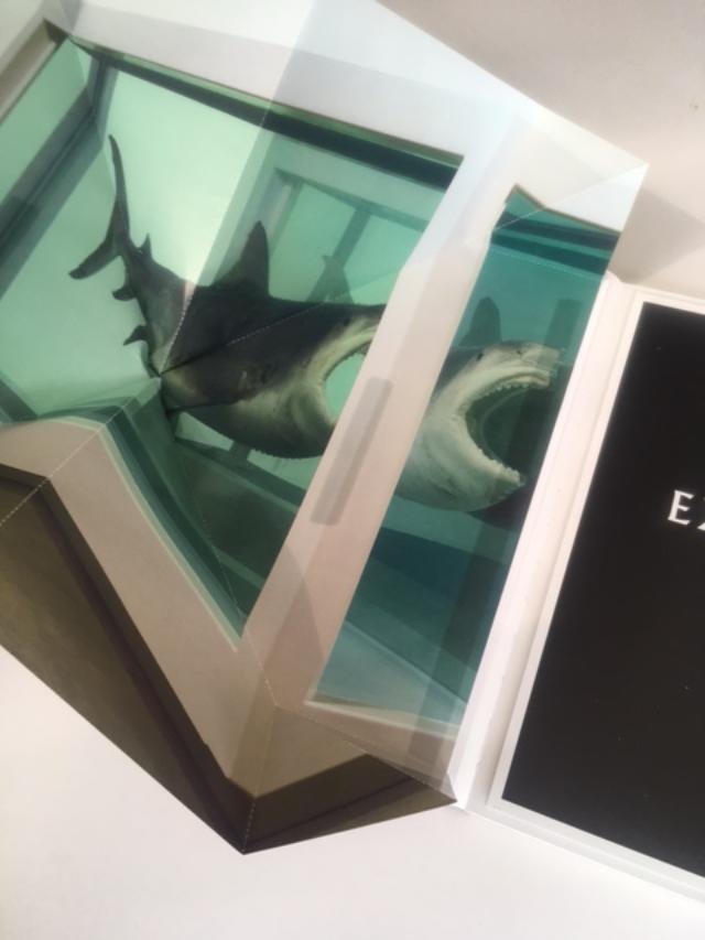 Damien Hirst (b 1965) Beyond Belief, Hardcover, For Whitecube Gallery, 1st Edition, 2008.