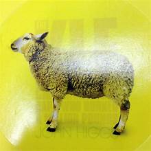 KLF (b 1988-1992) The KLF: Chaos, Magic and The Band Who Burned A Million Pounds, 1st Edition, 2008
