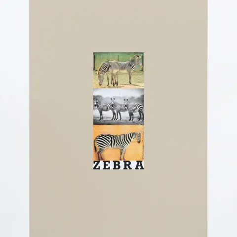 Sir Peter Blake RA Beatles Fame Original 1991 Set Z Is For Zebra Free Post Worldwide