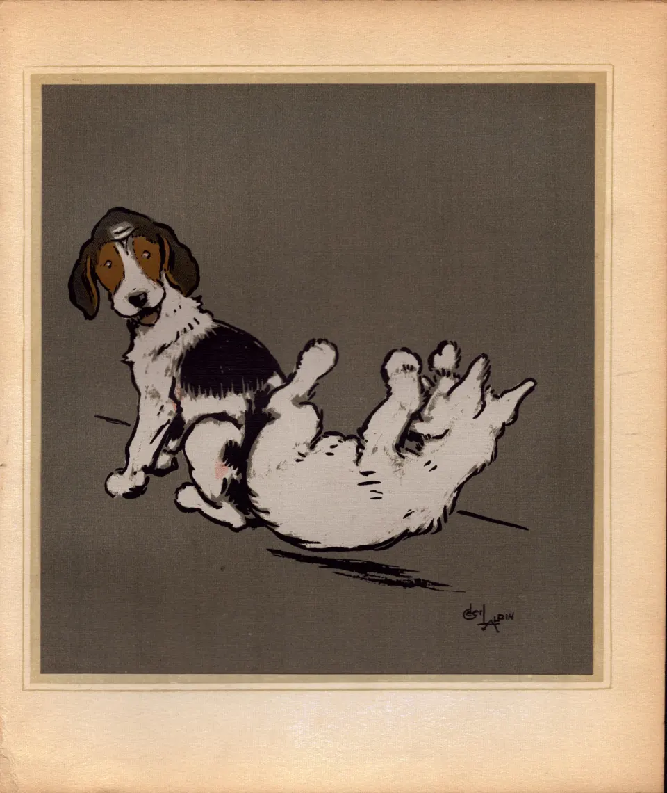 Cecil Aldin Merry Party Rare Antique Book Plate  “Playful Tumble”