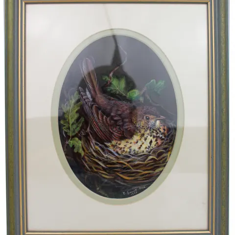 Painting of Song Thrush by Liz Garnett-Orme (British, Contemporary)