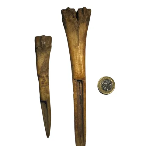 Pre-Columbian South American Bone Leather Working Tools