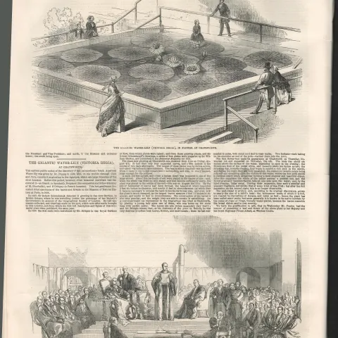 Queens College Cork Inauguration 1849 Antique Newspaper