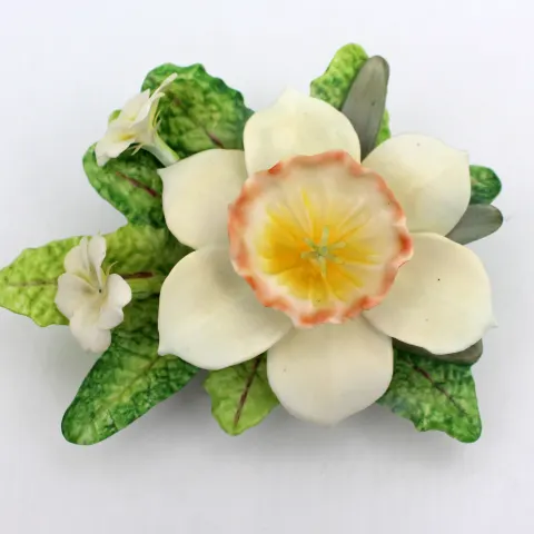 Royal Worcester Flower Narcissus