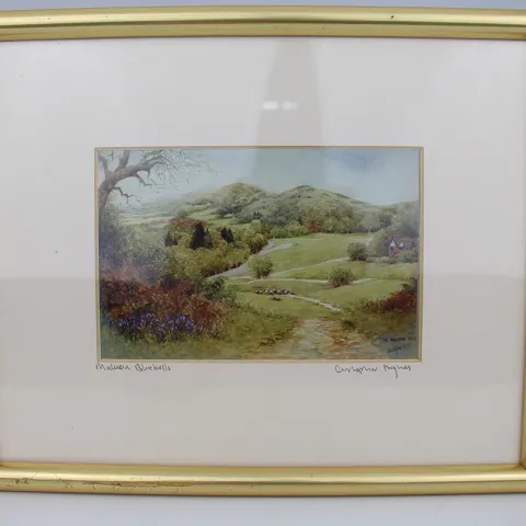 Pair of Limited Edition Framed Worcester Prints