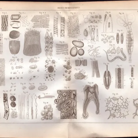Experimental Physics Optics Meteorology Instruments Etc Antique Diagram-8.