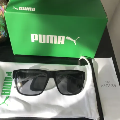 Puma Williamsburg PU0014s 001 Sunglasses