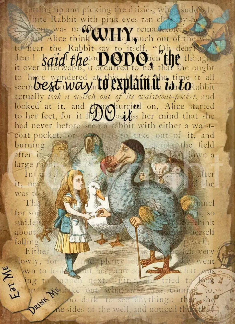 Alice In Wonderland "The Dodo" Beautifully Designed Quote Metal Wall Art