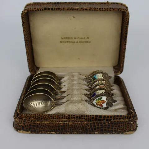 Cased Morris Michaels Enamel Silver Spoons