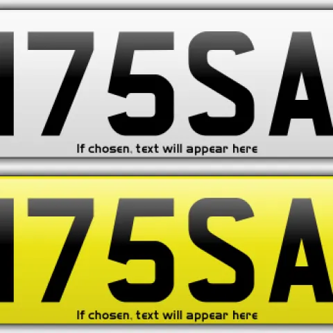 H175SAN HASAN HOssain Ali Islam Shia Arab Cherished Private Number Plate 786