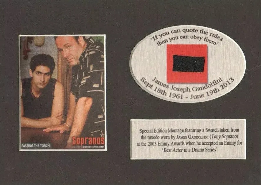 The Sopranos Clothing Owned & Worn By James Gandolfini Mounted Display
