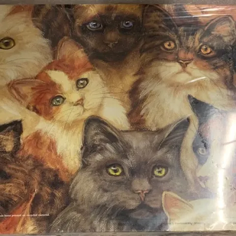 8 x Packs Of 12 x Catsworld A4 Wallets