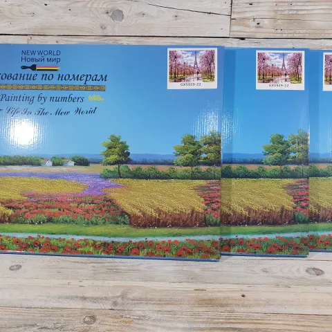 3 x New World Paint by Numbers canvas picture. Picture design is New Life in the New World. Rrp £54