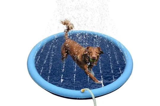 5 X Dog Paddling Pool Total RRP £146.95 L13c
