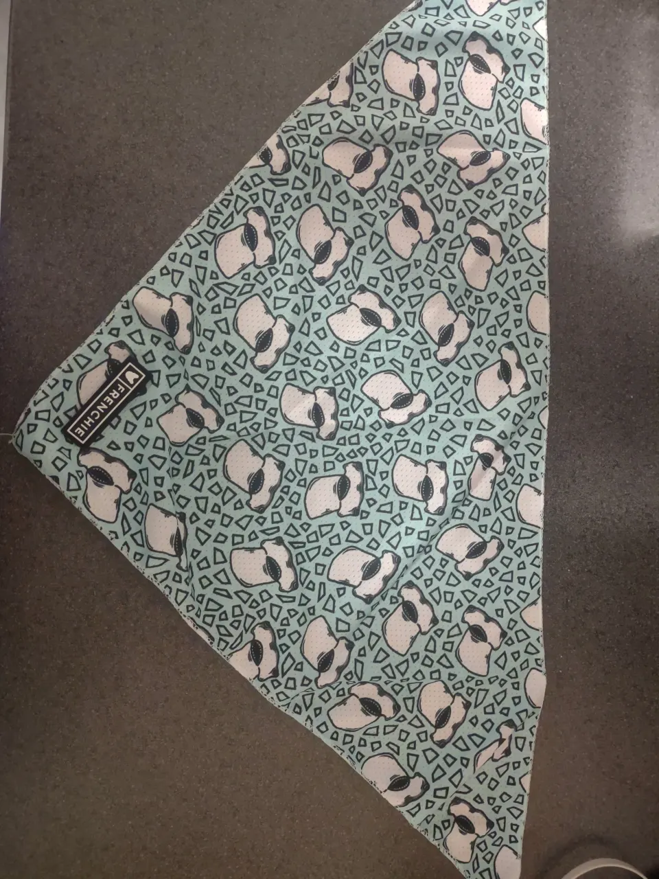 20 X FRENCHIE DOG BANDANA MIXED STYLES