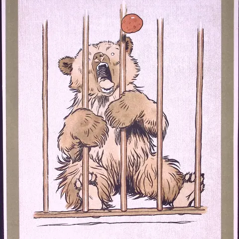Cecil Aldin Antique Zoo Babies Scarce Illustration “Little Brown Bear”-12