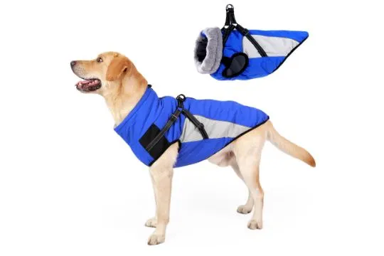 Waterproof Dog Coat