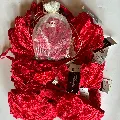 12 Playtex Flower Lace Red Bras Sizes 34 36 38 40