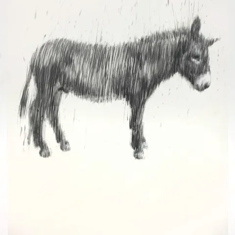 Charming Baker, Graphite Unidonkey