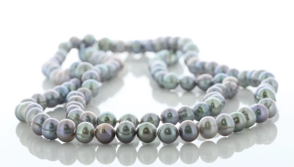 36 Inch Freshwater Cultured 7.0 - 7.5mm Pearl Necklace