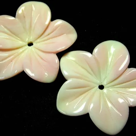 18.25 ct. Natural Rare Conch Shell Pair - BAHAMAS