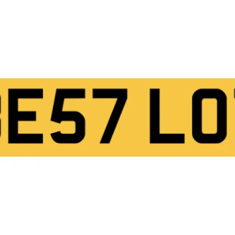 BE57 LOT Auction Ebay Seller Buyer Auctioneer Professional Best Number Plate