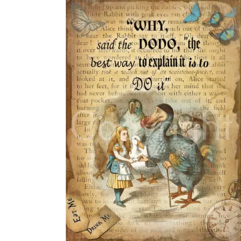 Alice In Wonderland The Dodo Extra large Designed Metal Wall Art