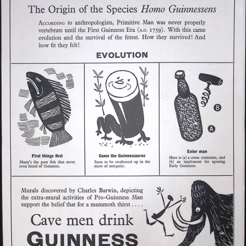 Guinness 67 Years-Old Advert 1958 Natural Selection Print: G.E.3091-D