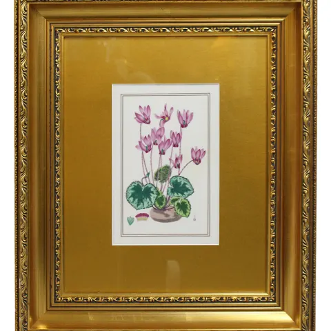 Royal Worcester Cyclamen Porcelain Plaque Set in Gilt Frame