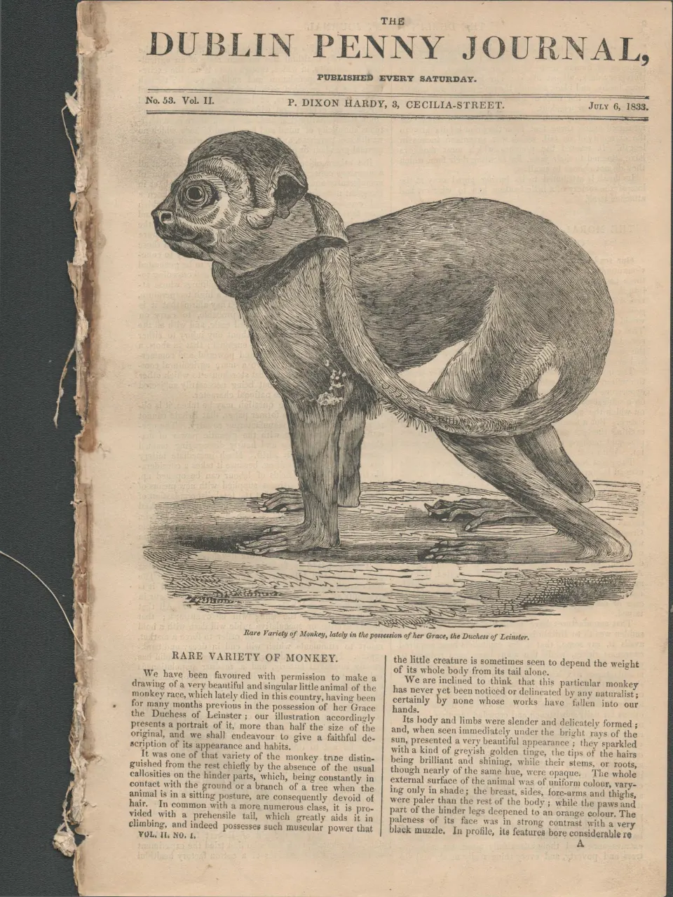 Irish  Newspaper 1833  Common Seals Various Municipal Bodies of Ireland.