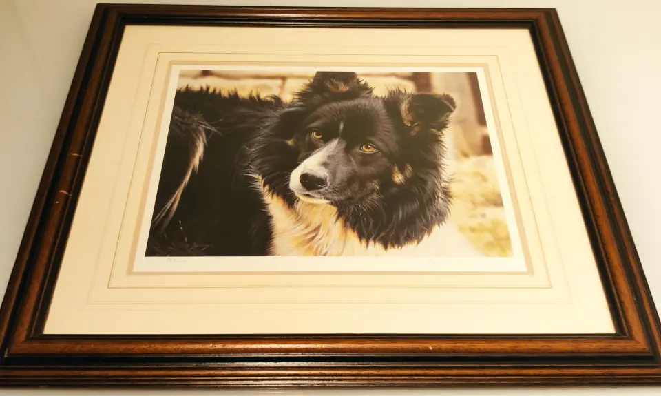 Renowned Steven Townsend signed Bill the collie limited edition print.  Size framed 25 ¼ x 21.5 inch