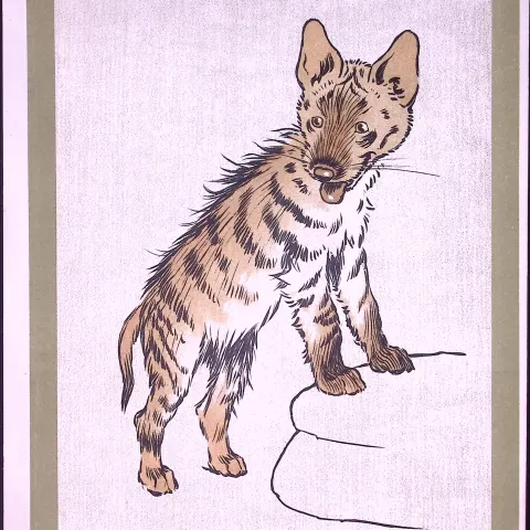 Cecil Aldin Antique Zoo Babies Scarce Coloured Illustration “The Hyena”-4
