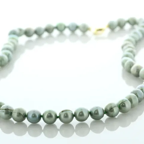 18 Inch Freshwater Cultured 7.0 - 7.5mm Pearl Necklace With Gold Plated Clasp
