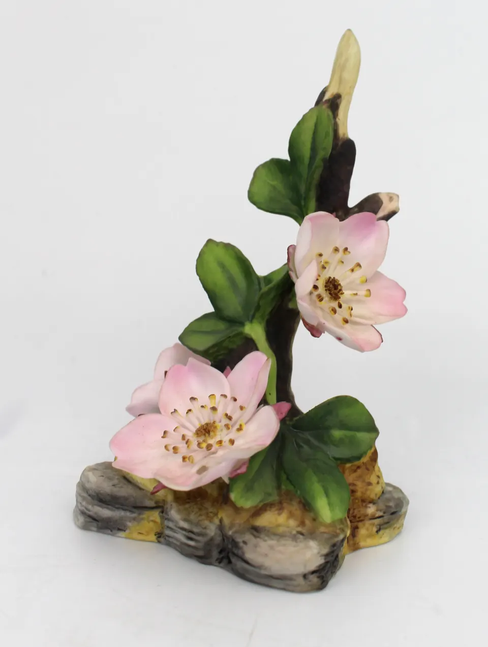 Royal Worcester Wild Rose Garden Flowers