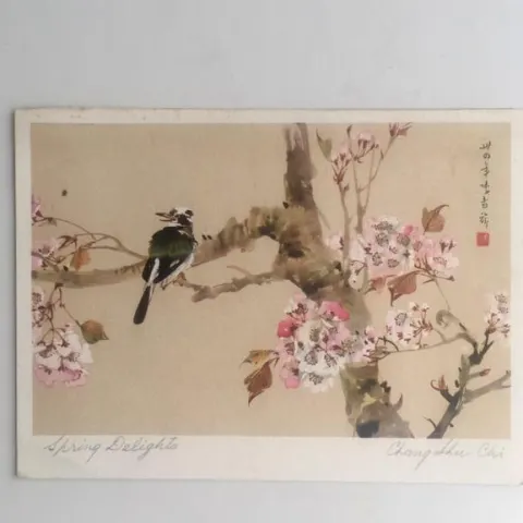 1938 Japan Blossom 'Spring Delights' By 'Chang Luc-Chi', Note Card With Dedication