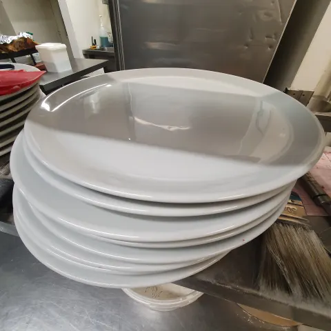 30cm traditional pizza plates