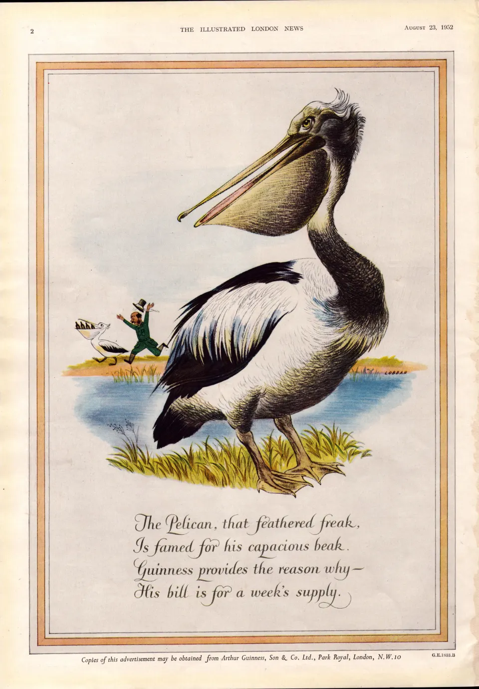 Original 72-Year-Old 1952 Guinness Print The Pelican – GE 1833 B  #-2.