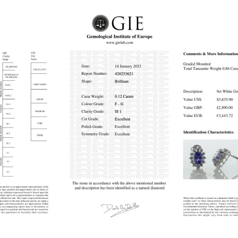 9ct White Gold Diamond And Tanzanite Earring (T0.86) 0.12 Carats