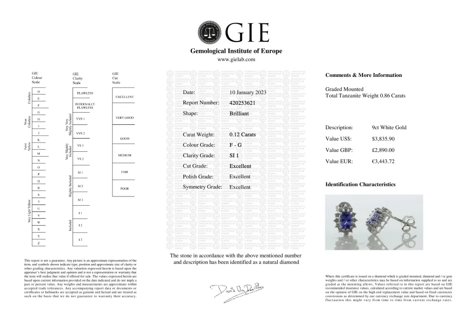 9ct White Gold Diamond And Tanzanite Earring (T0.86) 0.12 Carats