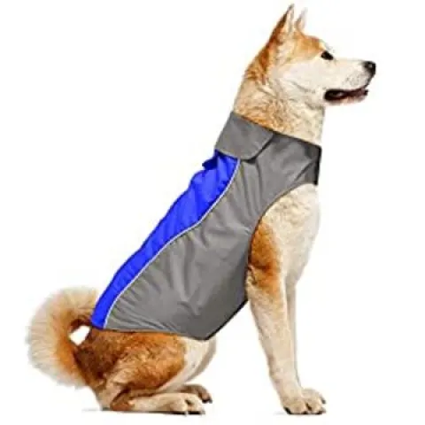 10 x Dog Waterproof Raincoats RRP £196.70 Lb21