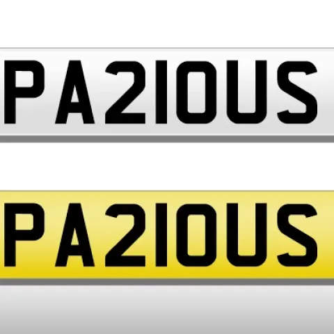 PA21 OUS Danger Dangerous Alert Shrewd Cunning Risk Private No Plate 786