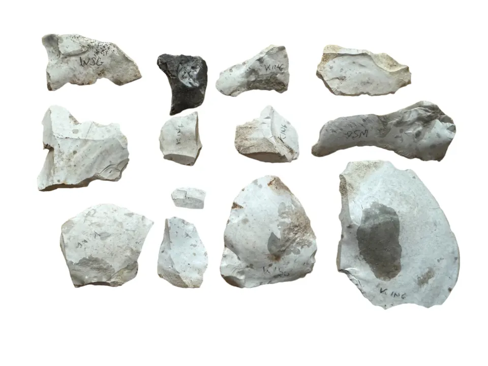 Antiquities: Neolithic stone flint tools, Wiltshire