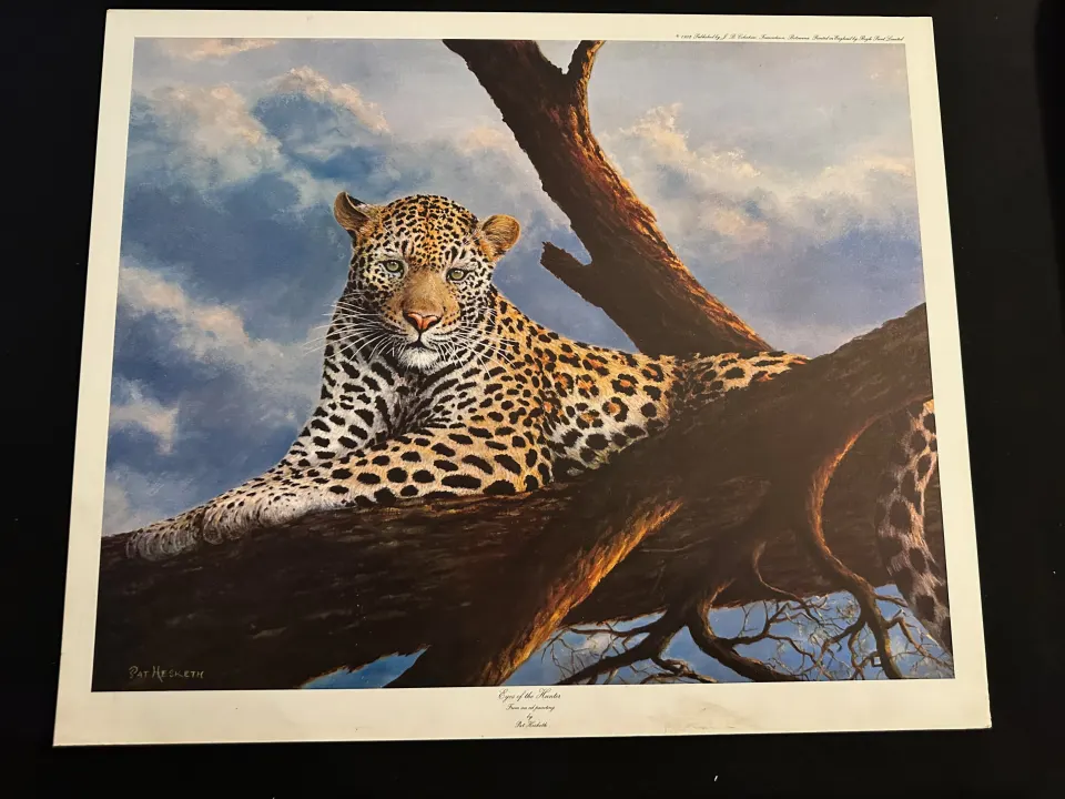 Three x Eye of the Hunter by Pat Hesketh 1982