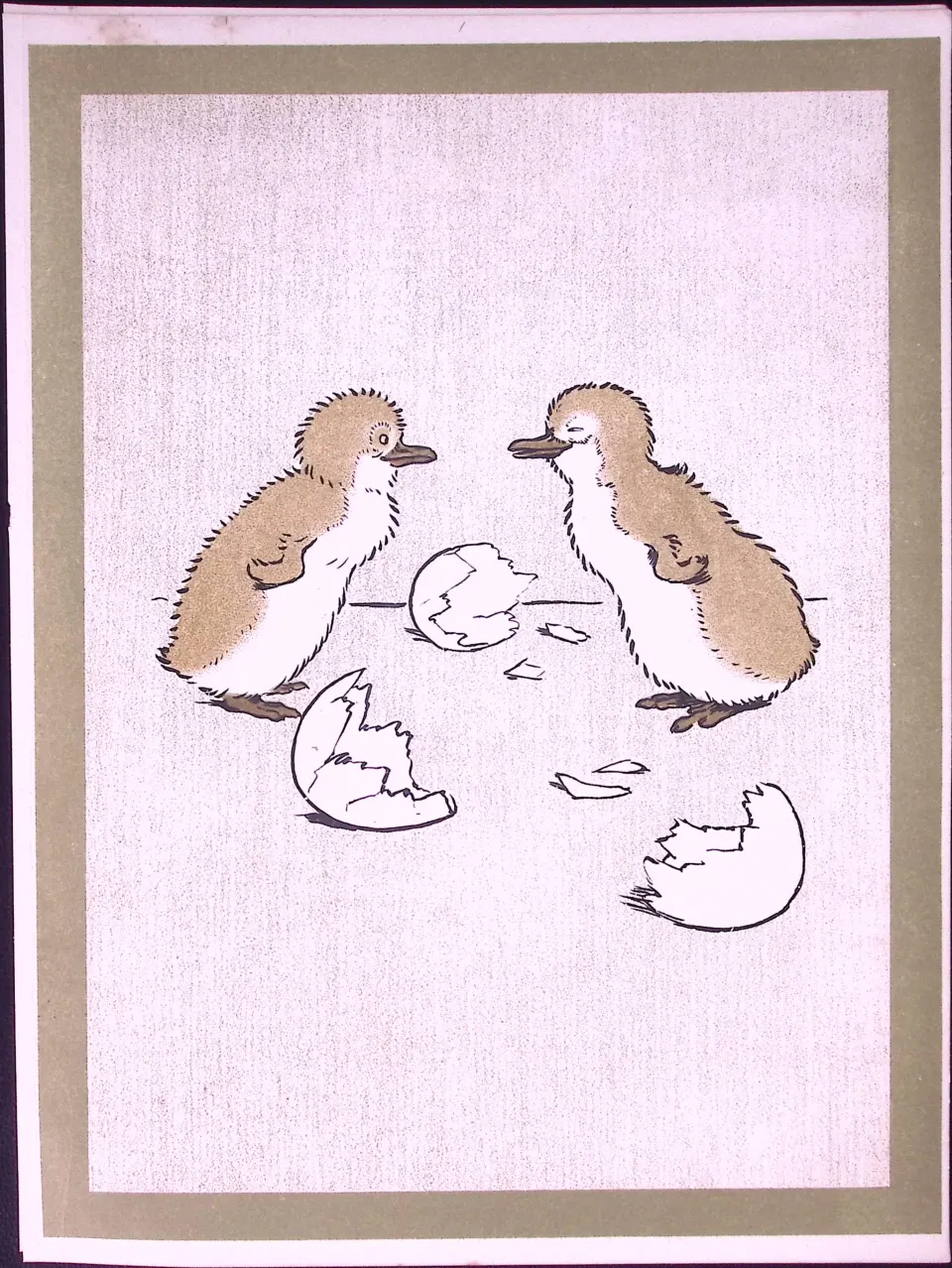 Cecil Aldin Antique Zoo Babies Scarce Coloured Illustration “The Penquins”-11