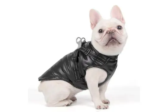 Dog Coat (Black)